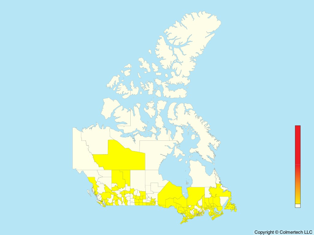 Western Cattle-Egret (Ardea ibis) - Canada