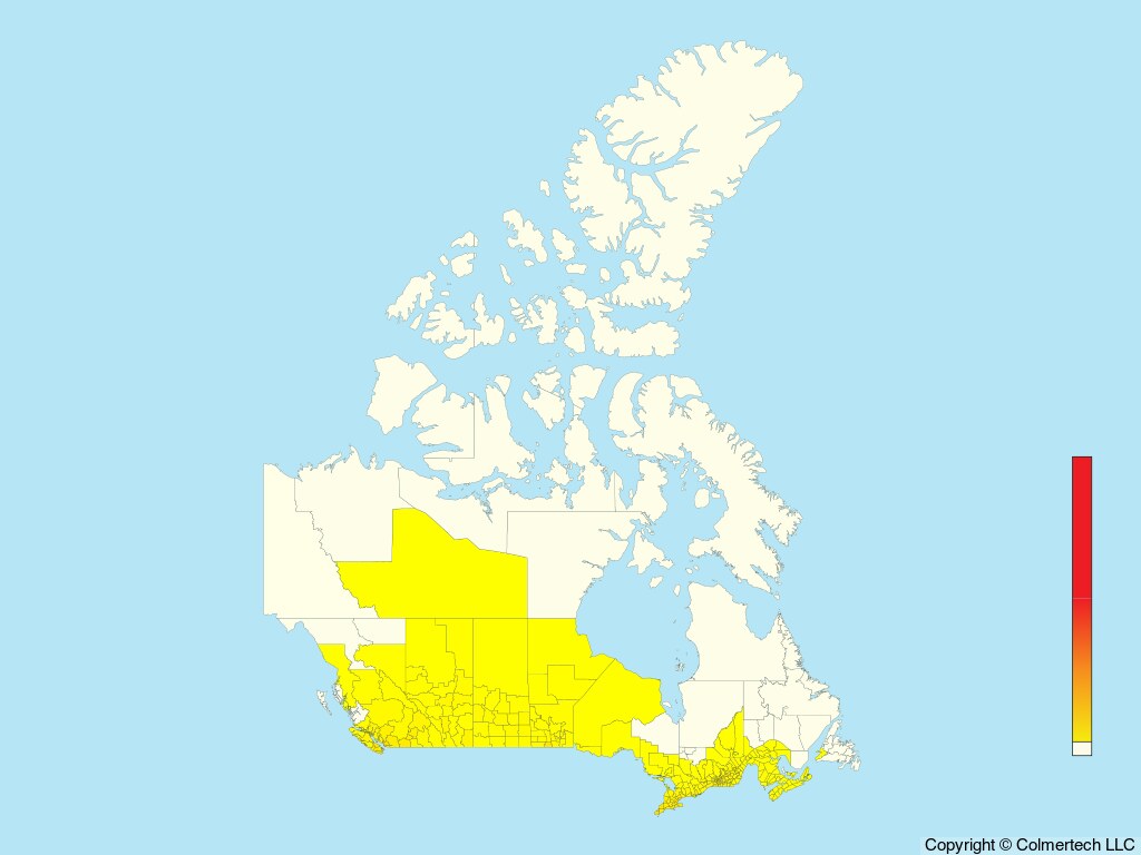 Cooper's Hawk (Astur cooperii) - Canada