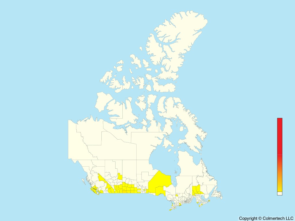 Lark Bunting (Calamospiza melanocorys) - Canada