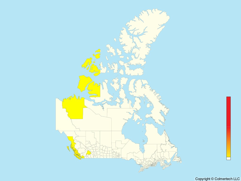 Surfbird (Calidris virgata) - Canada