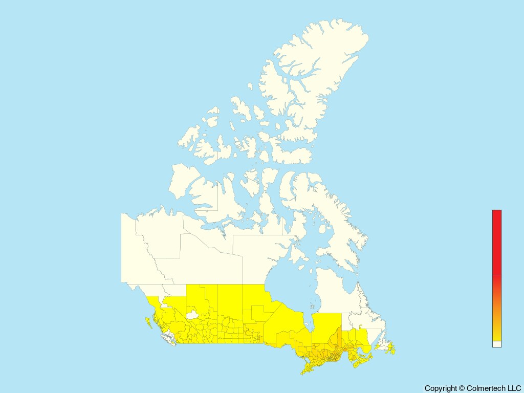Veery (Catharus fuscescens) - Canada