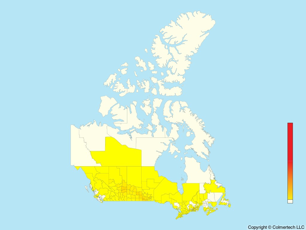 Black Tern (Chlidonias niger) - Canada