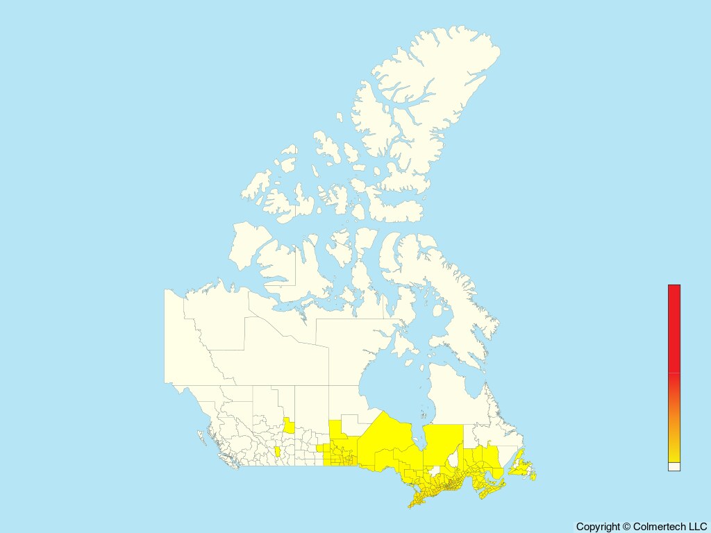 Eastern Wood-Pewee (Contopus virens) - Canada