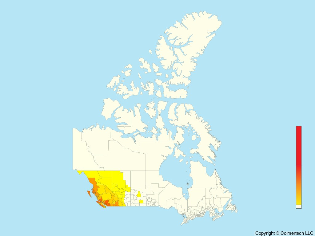 Steller's Jay (Cyanocitta stelleri) - Canada