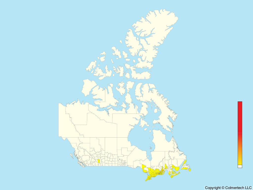 Common Gallinule (Gallinula galeata) - Canada