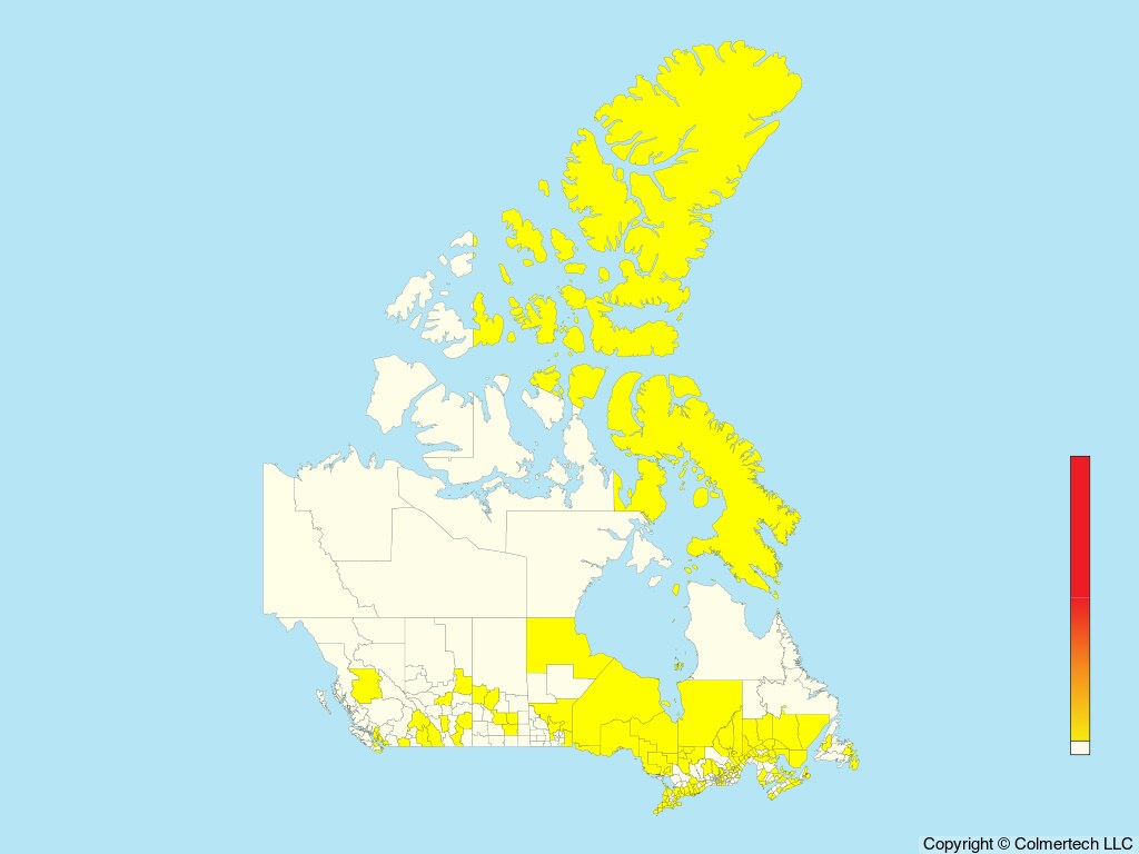 Little Gull (Hydrocoloeus minutus) - Canada