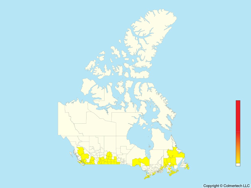 Yellow-breasted Chat (Icteria virens) - Canada