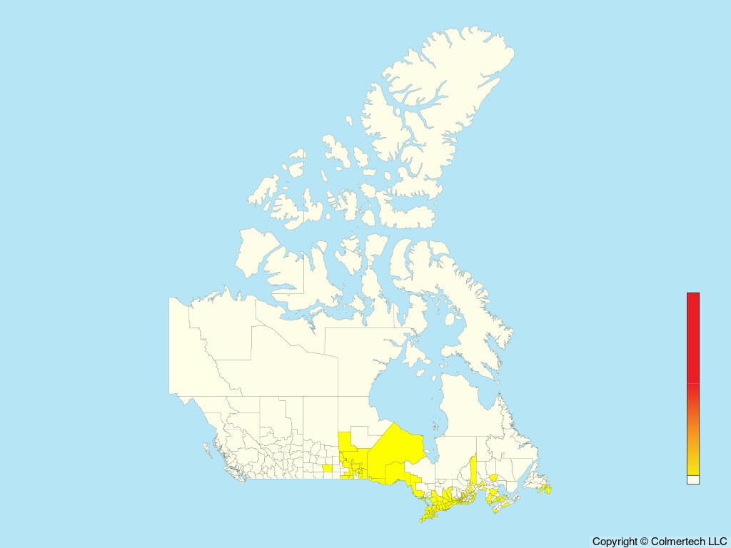 Least Bittern (Ixobrychus exilis) - Canada