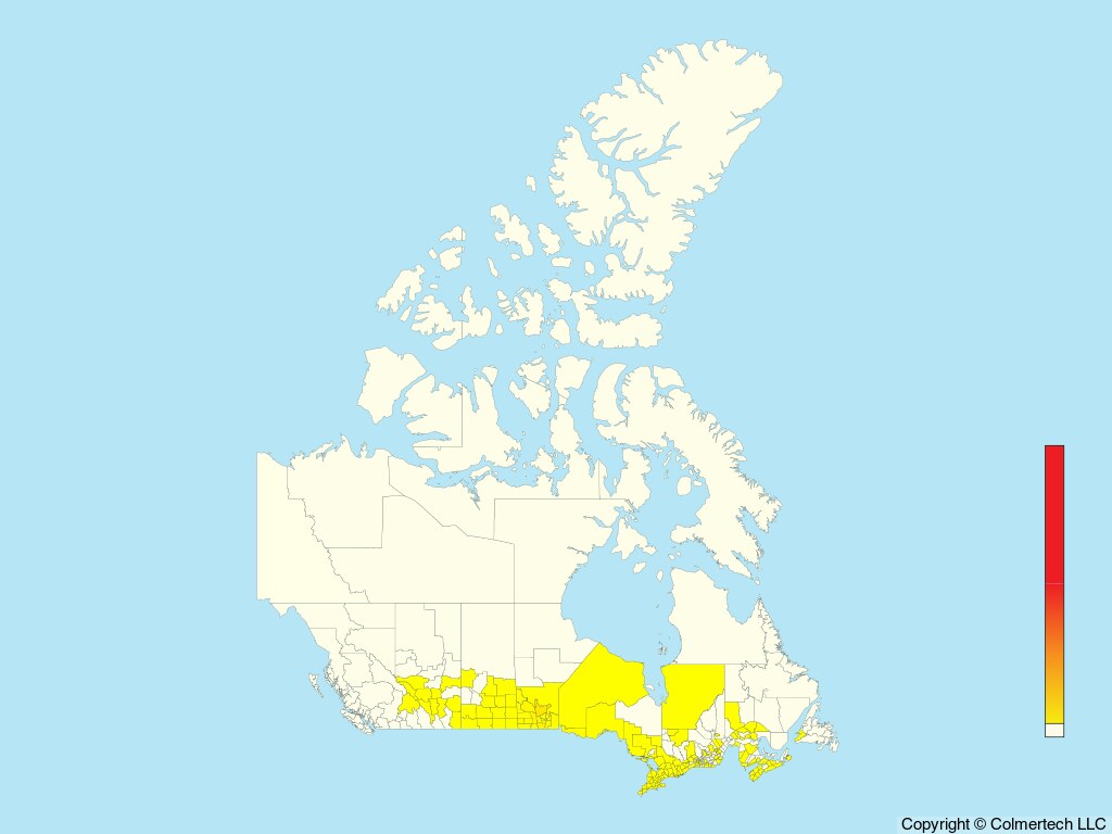 Red-headed Woodpecker (Melanerpes erythrocephalus) - Canada