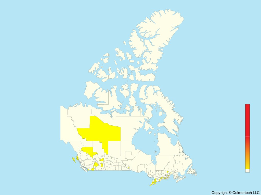 Budgerigar (Melopsittacus undulatus) - Canada