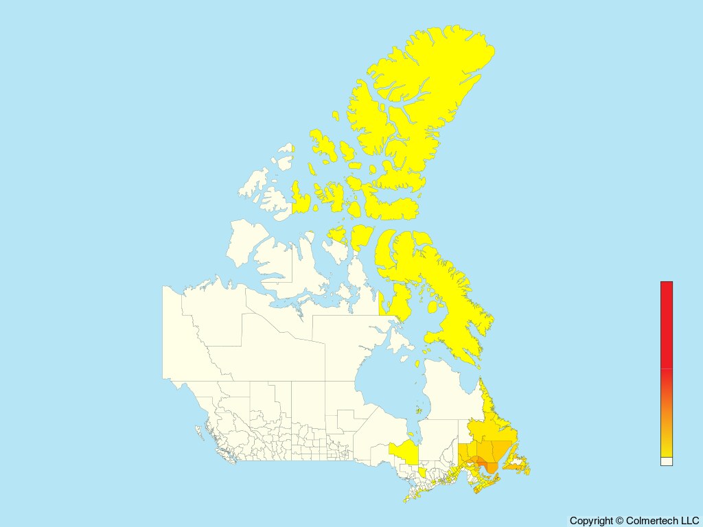 Northern Gannet (Morus bassanus) - Canada