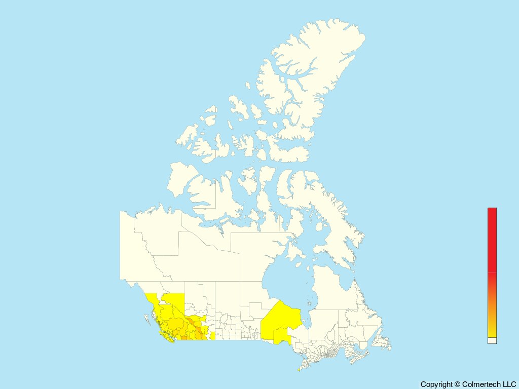 Clark's Nutcracker (Nucifraga columbiana) - Canada