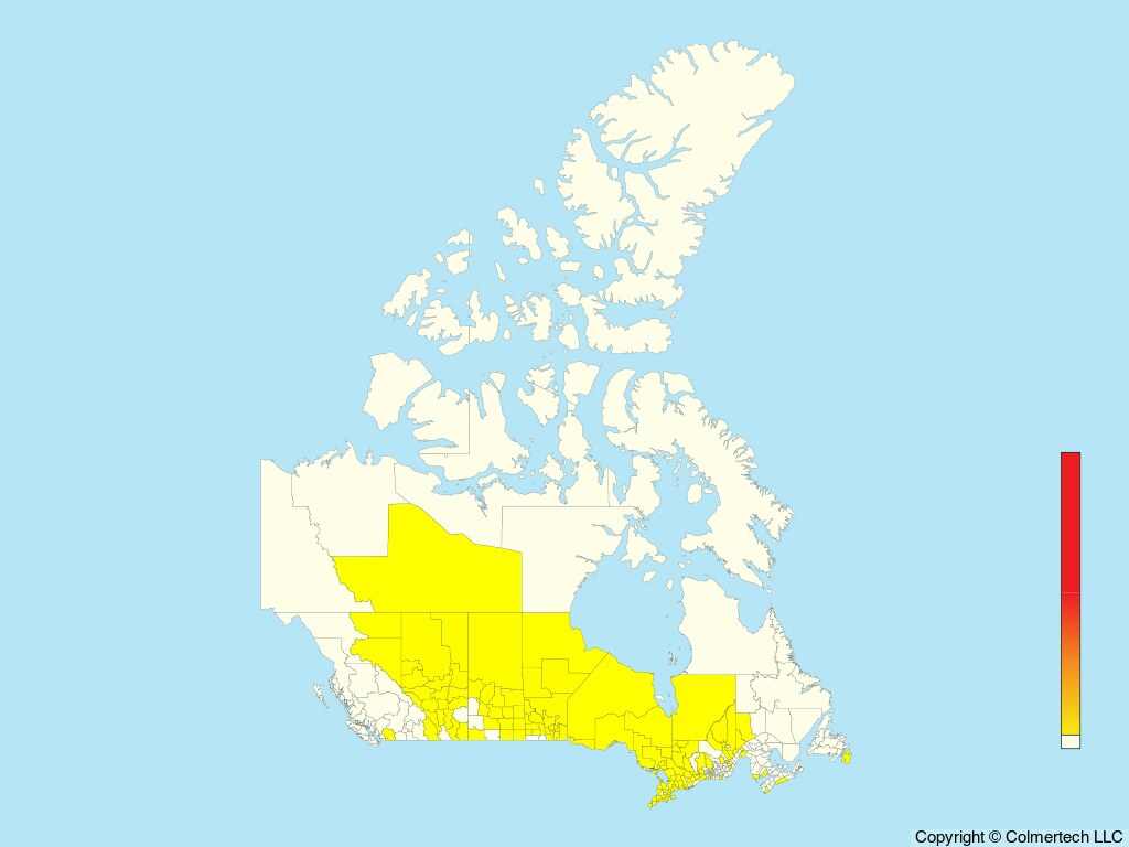 Connecticut Warbler (Oporornis agilis) - Canada