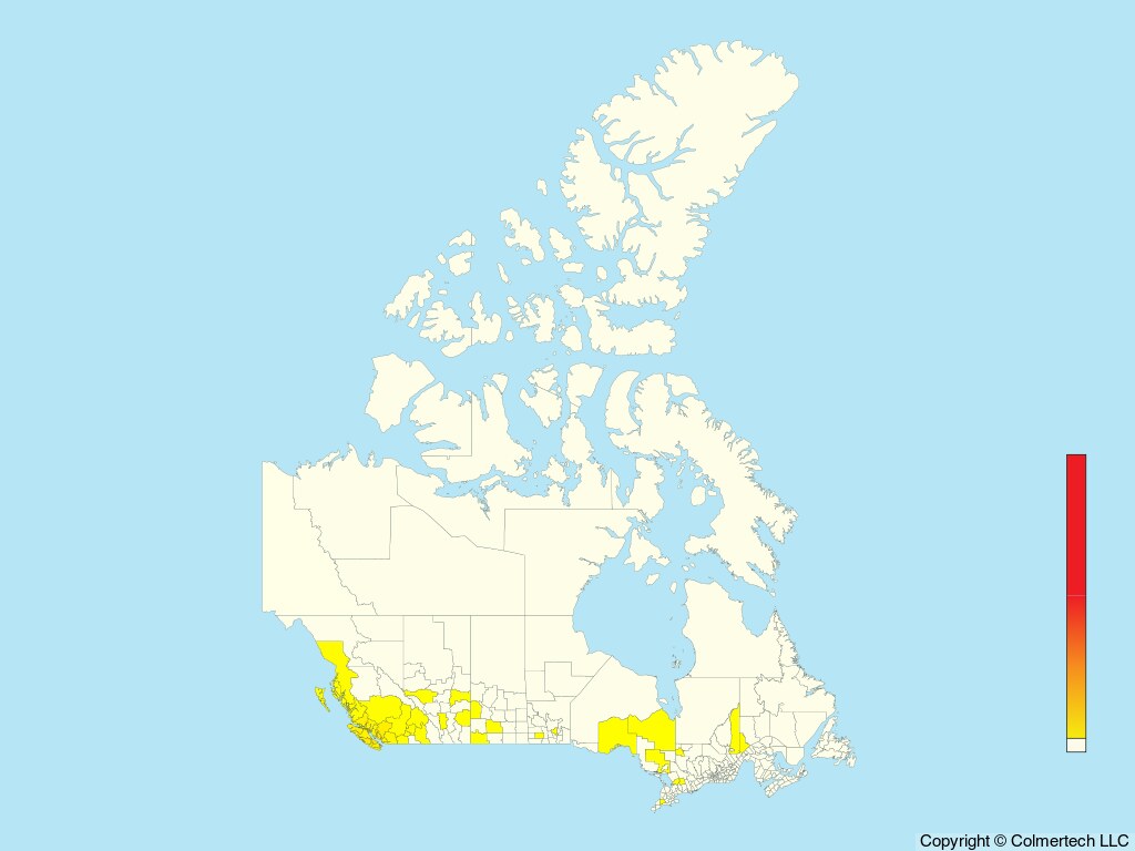 Band-tailed Pigeon (Patagioenas fasciata) - Canada