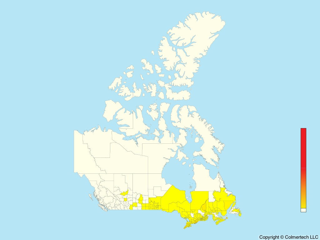 Eastern Towhee (Pipilo erythrophthalmus) - Canada