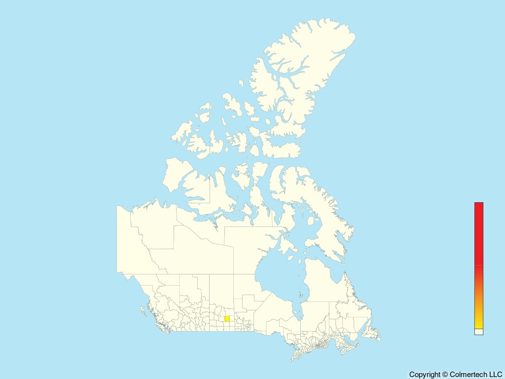 Hepatic Tanager (Piranga flava) - Canada
