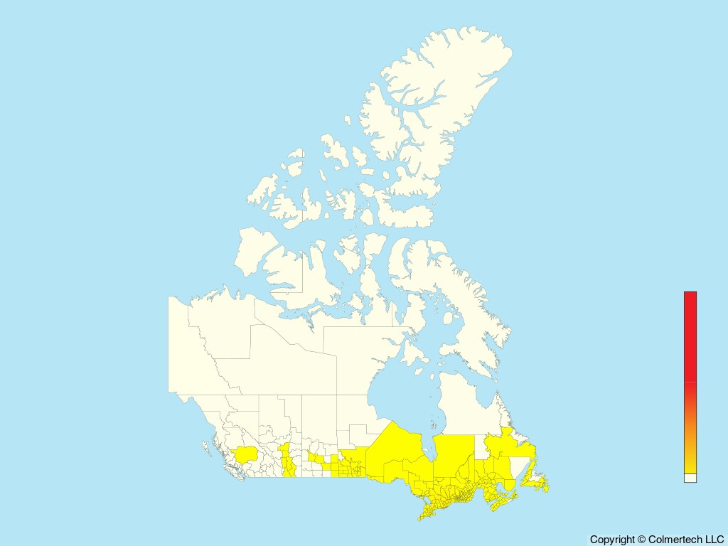 Scarlet Tanager (Piranga olivacea) - Canada