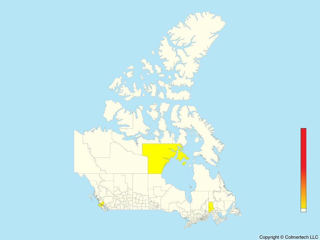 Steller's Eider (Polysticta stelleri) - Canada