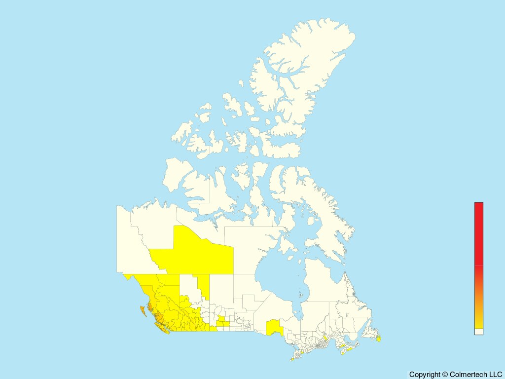 Townsend's Warbler (Setophaga townsendi) - Canada