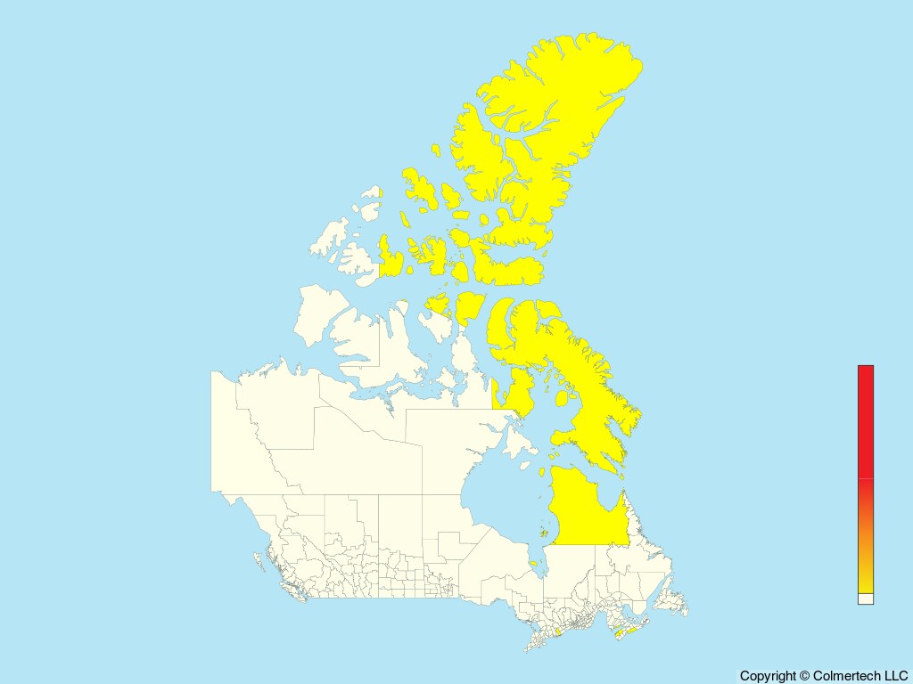 Atlantic Yellow-nosed Albatross (Thalassarche chlororhynchos) - Canada