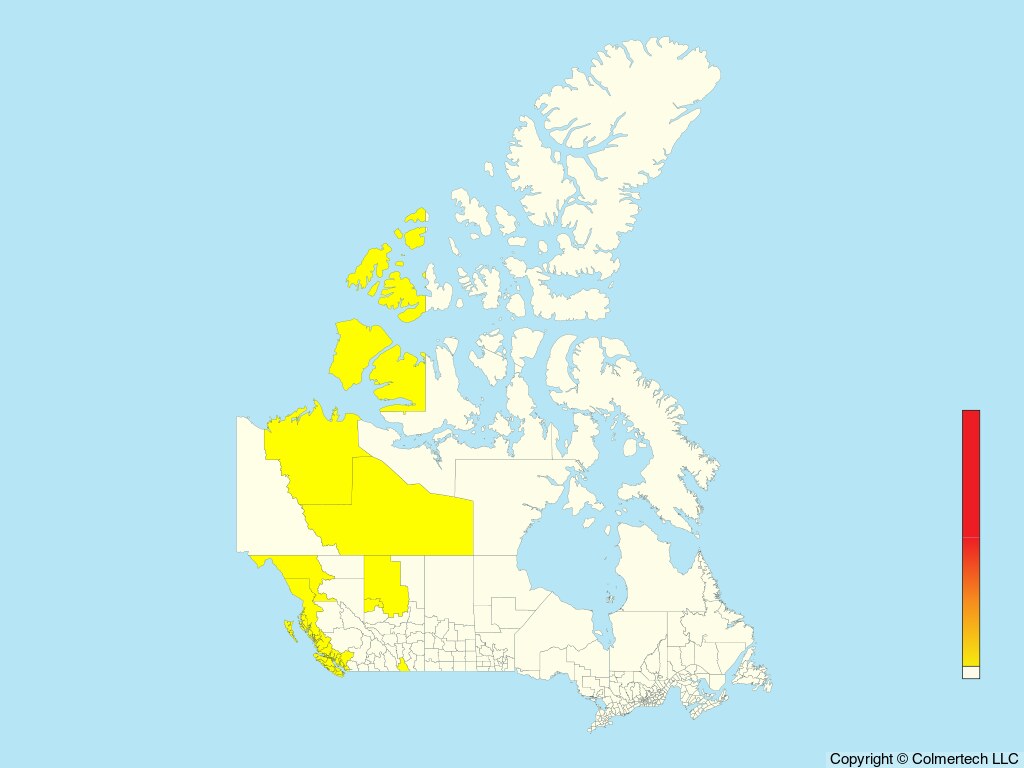 Wandering Tattler (Tringa incana) - Canada