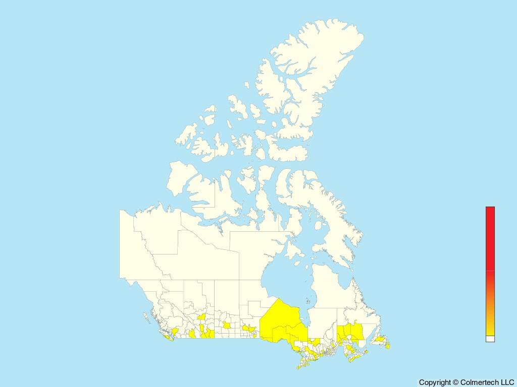 Scissor-tailed Flycatcher (Tyrannus forficatus) - Canada