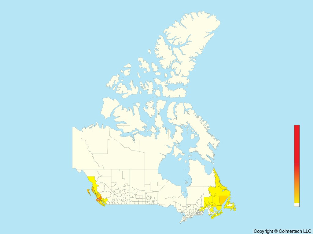 Common Murre (Uria aalge) - Canada