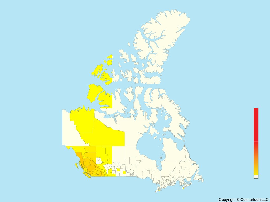 Western Warbling Vireo (Vireo swainsoni) - Canada