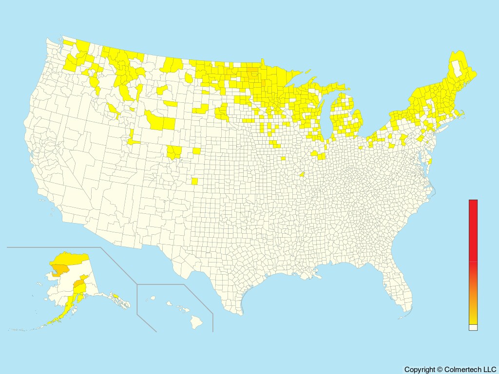 Hoary Redpoll (Acanthis hornemanni) - United States