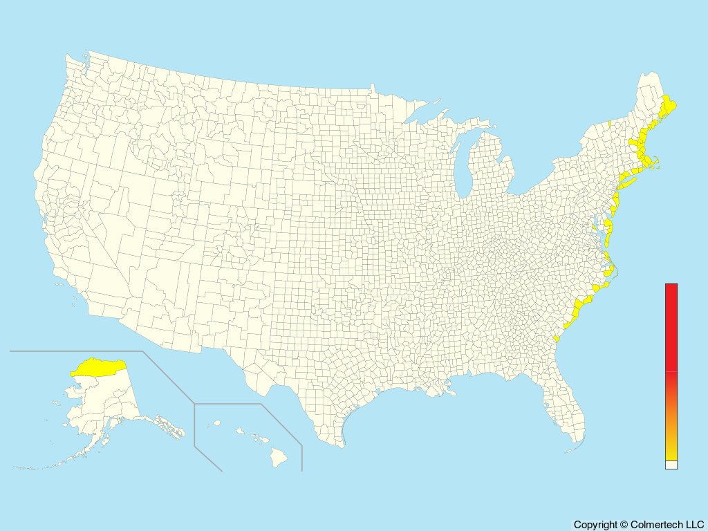 Dovekie (Alle alle) - United States