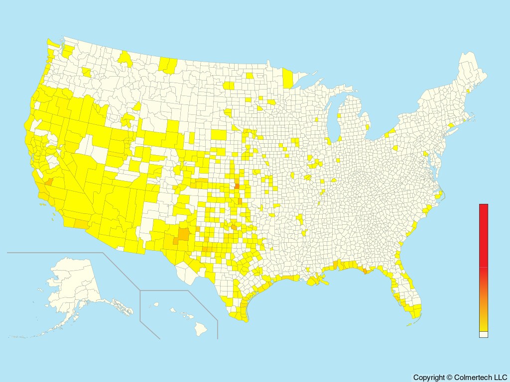 Snowy Plover (Anarhynchus nivosus) - United States