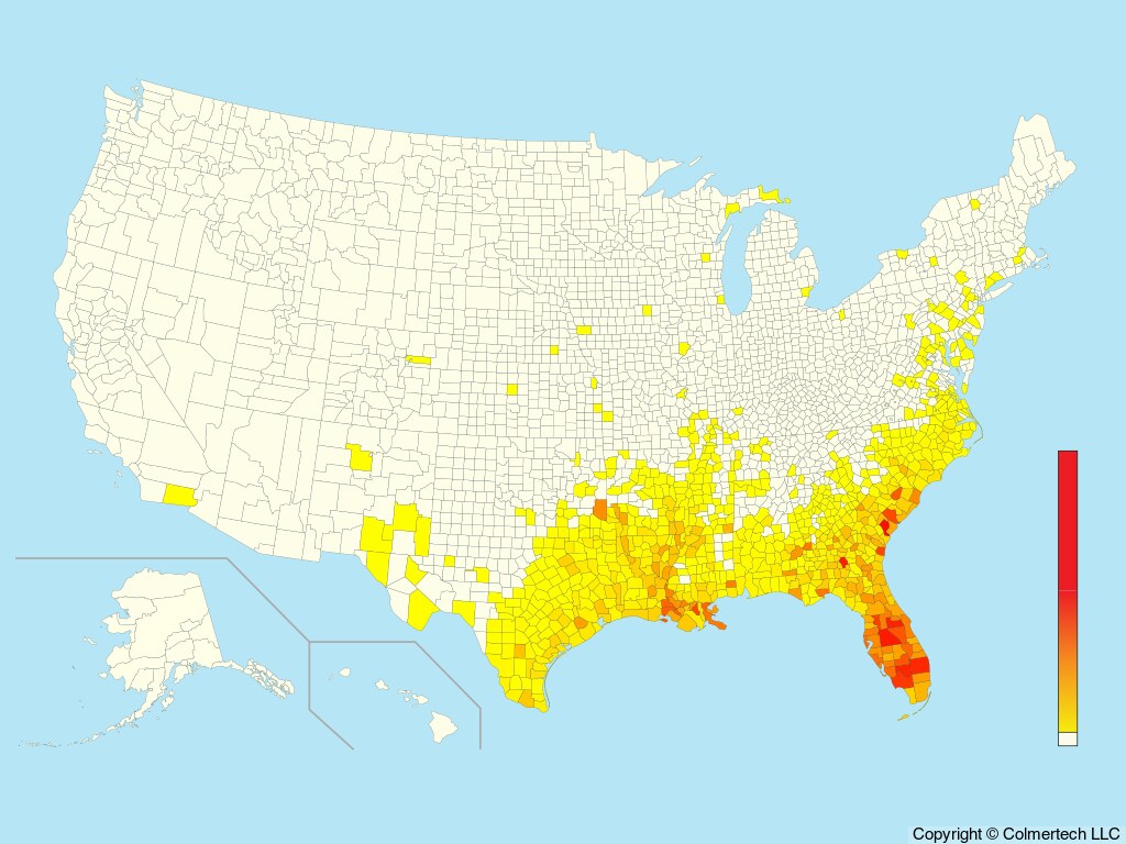 Anhinga (Anhinga anhinga) - United States