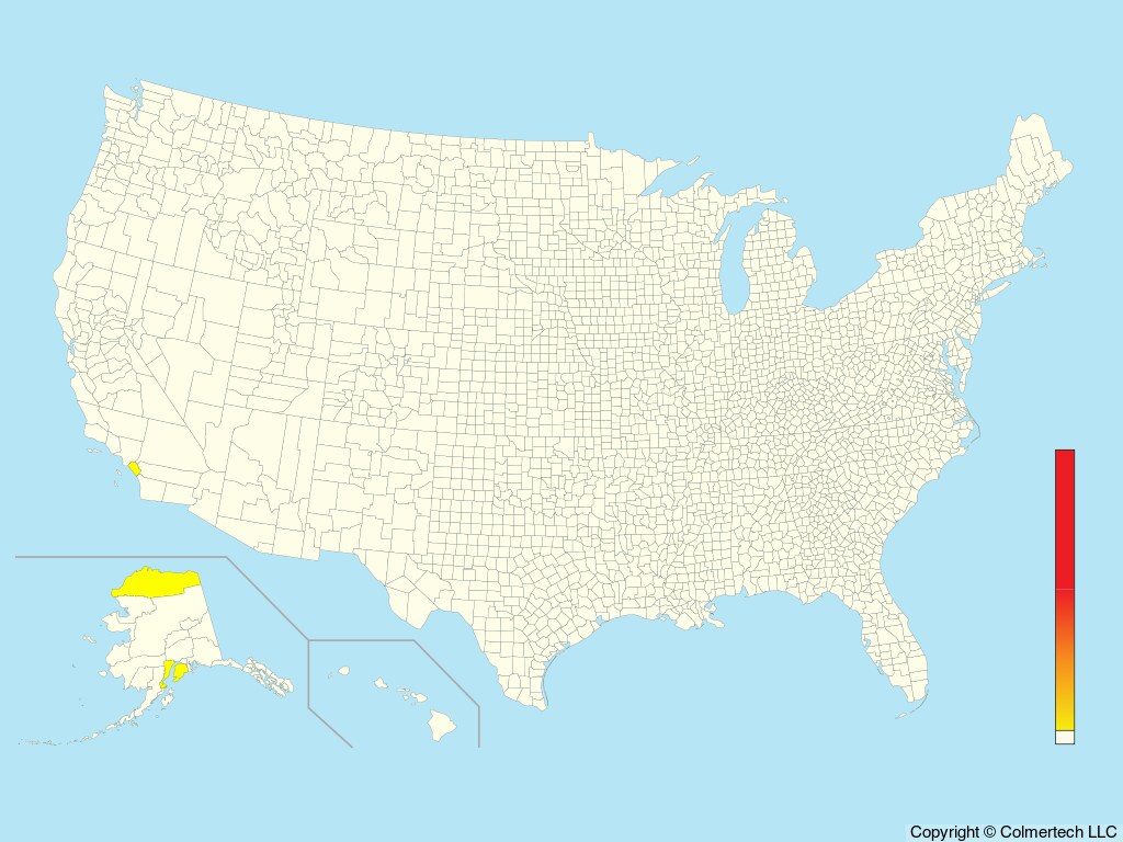 Olive-backed Pipit (Anthus hodgsoni) - United States