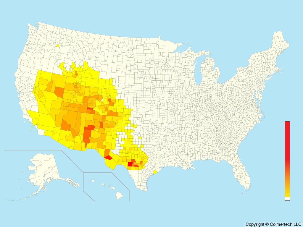 Woodhouse's Scrub-Jay (Aphelocoma woodhouseii) - United States