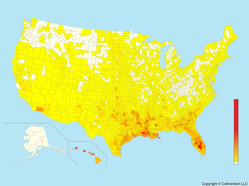 Western Cattle-Egret (Ardea ibis) - United States