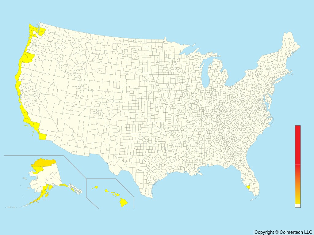 Short-tailed Shearwater (Ardenna tenuirostris) - United States