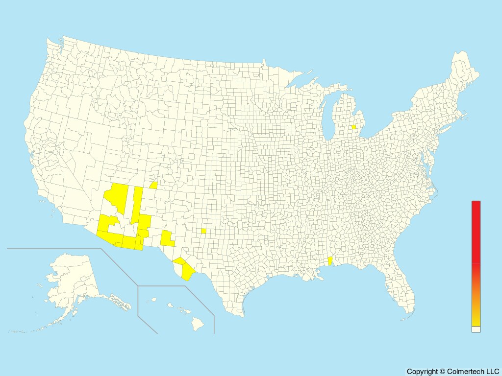 White-eared Hummingbird (Basilinna leucotis) - United States
