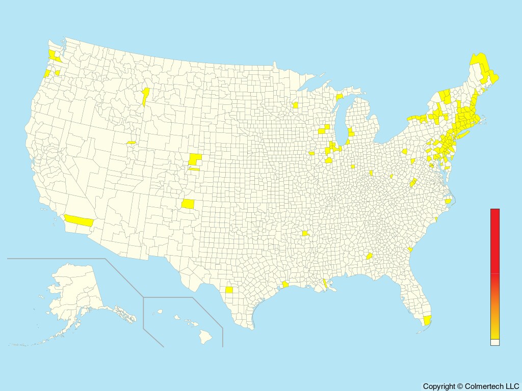 Barnacle Goose (Branta leucopsis) - United States