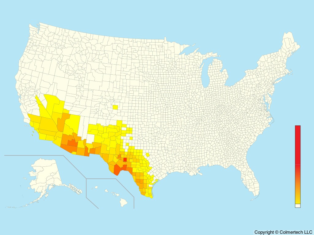 Cactus Wren (Campylorhynchus brunneicapillus) - United States