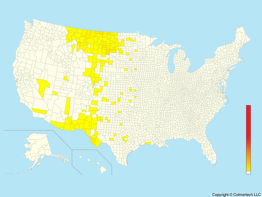 Baird's Sparrow (Centronyx bairdii) - United States