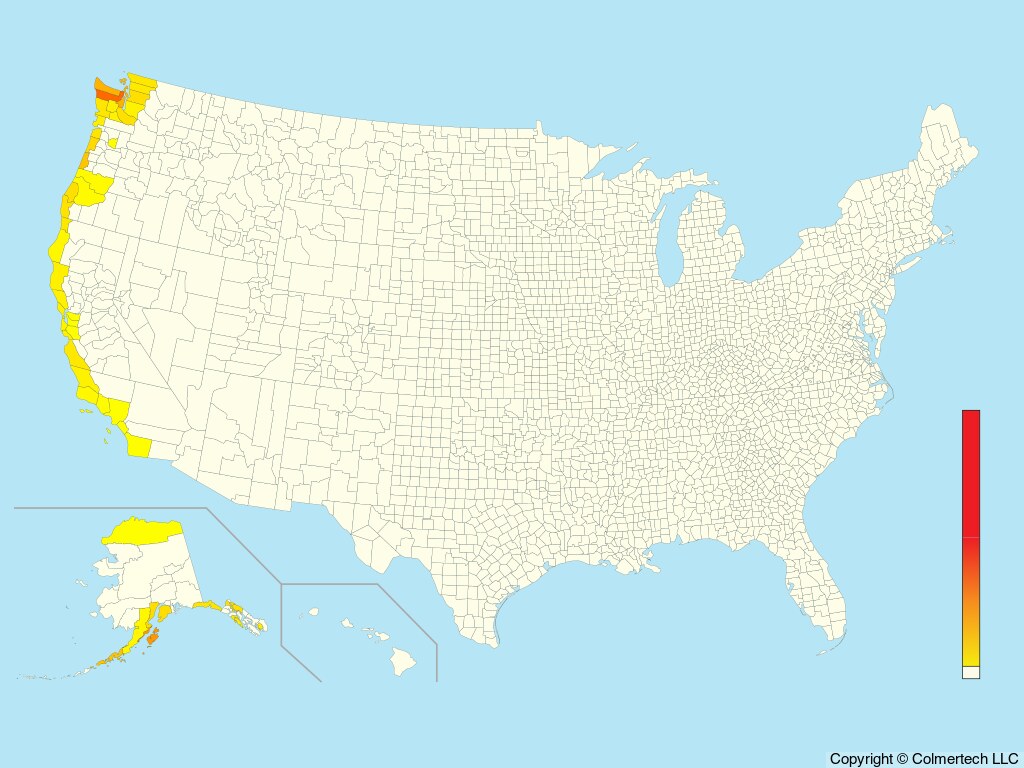 Pigeon Guillemot (Cepphus columba) - United States