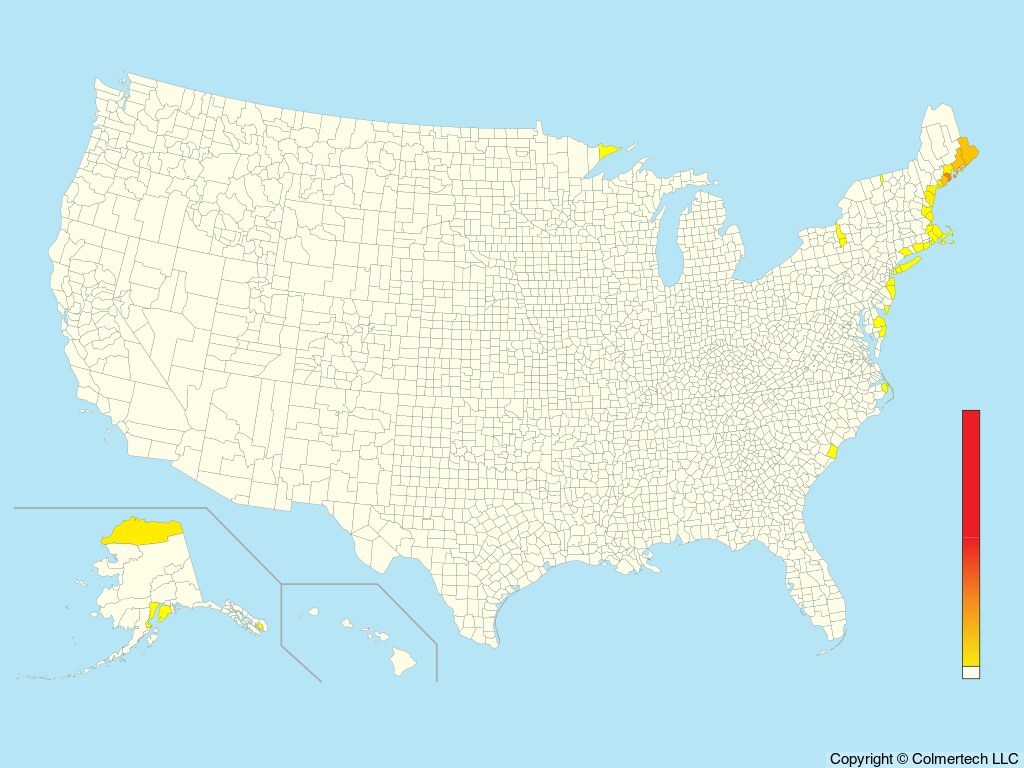 Black Guillemot (Cepphus grylle) - United States