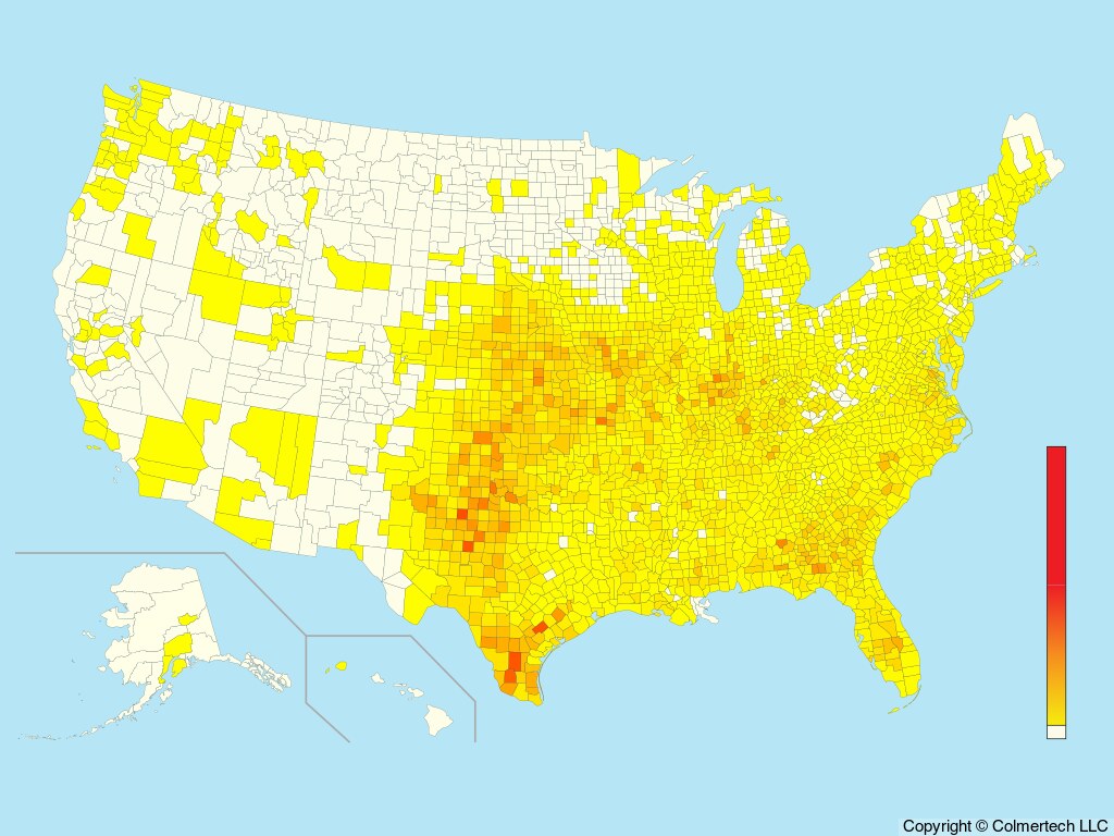 Northern Bobwhite (Colinus virginianus) - United States