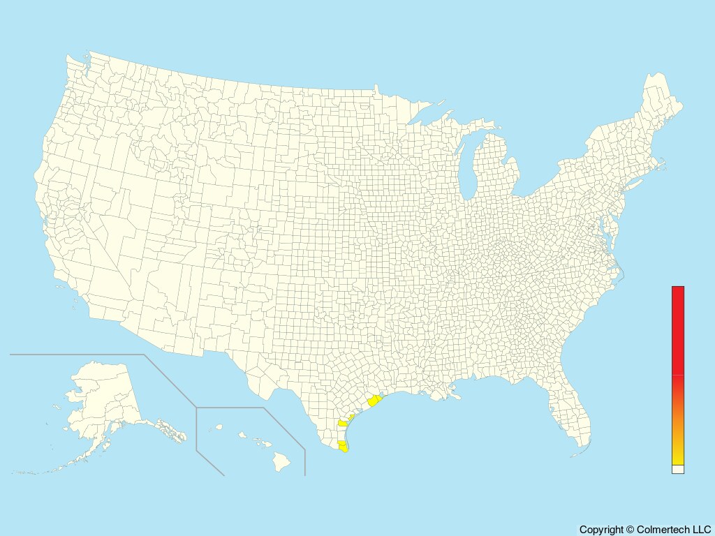 Tamaulipas Crow (Corvus imparatus) - United States