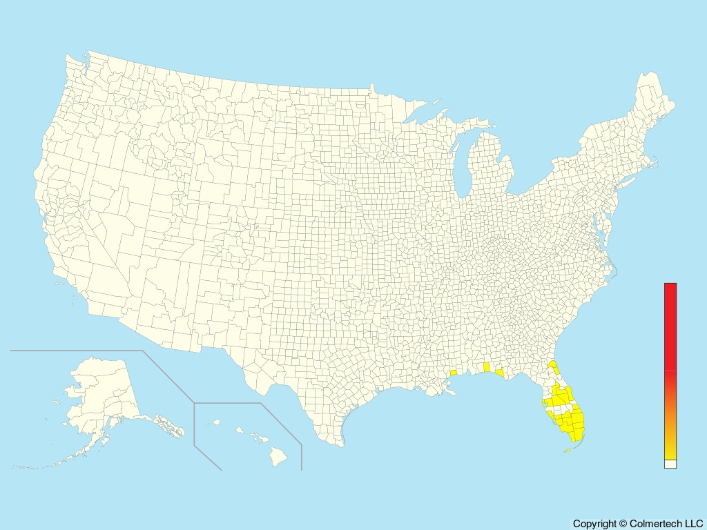 Smooth-billed Ani (Crotophaga ani) - United States