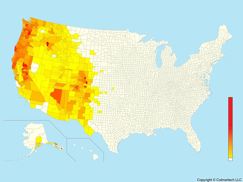 Steller's Jay (Cyanocitta stelleri) - United States