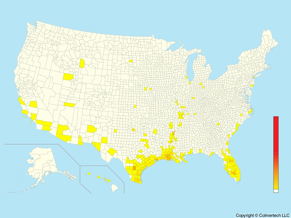 Fulvous Whistling-Duck (Dendrocygna bicolor) - United States
