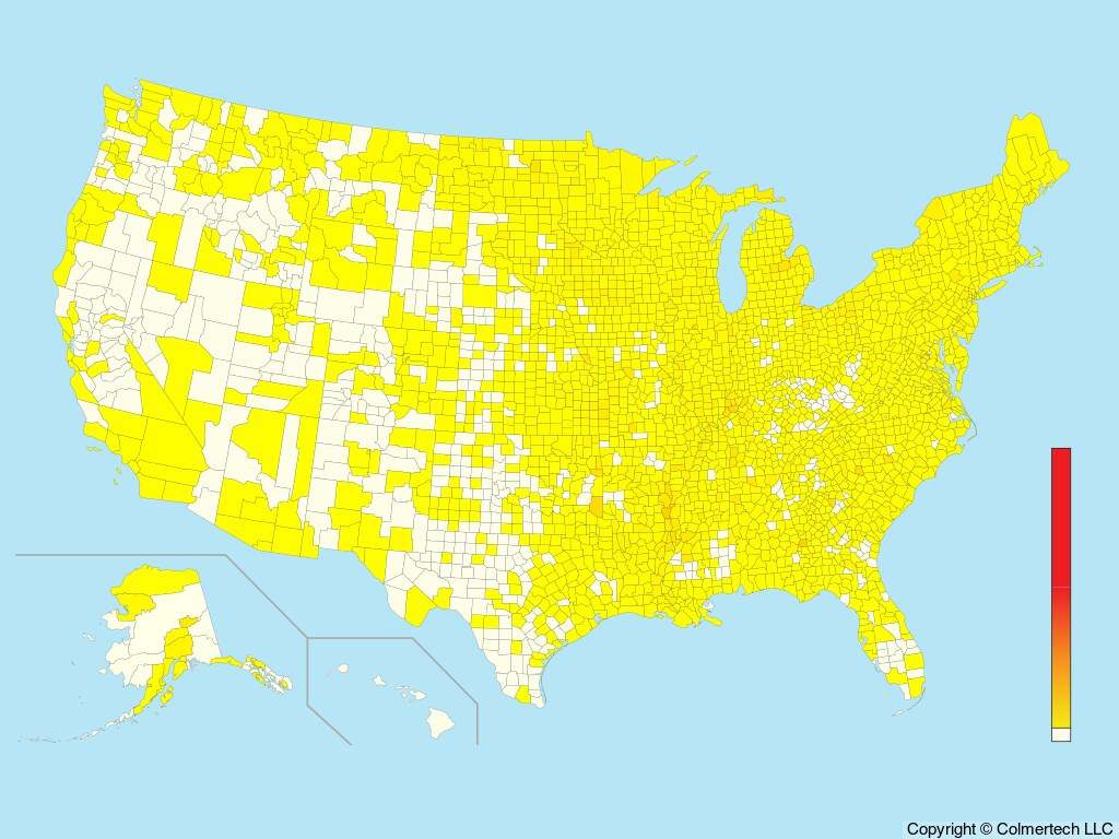 Rusty Blackbird (Euphagus carolinus) - United States