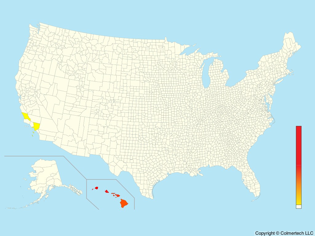 Zebra Dove (Geopelia striata) - United States