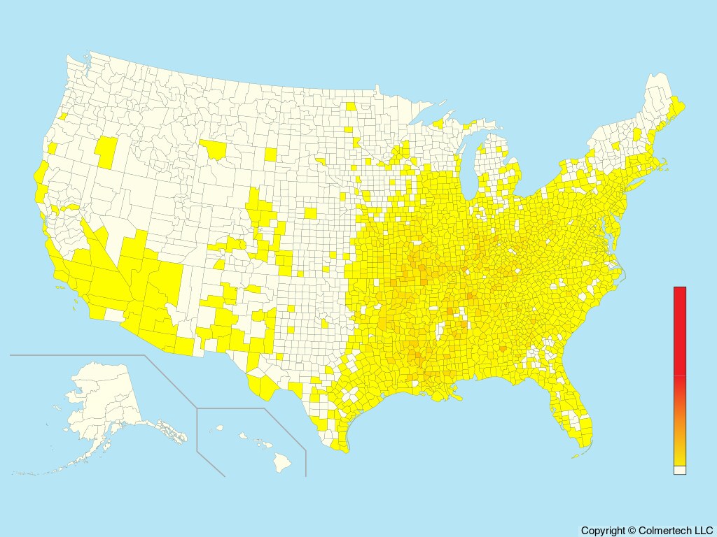 Kentucky Warbler (Geothlypis formosa) - United States